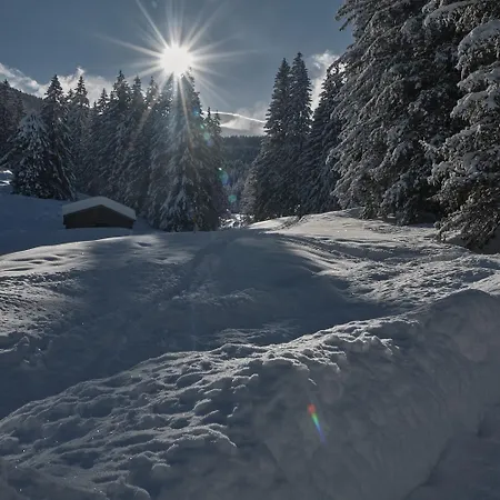 Lechthaler Apartment
